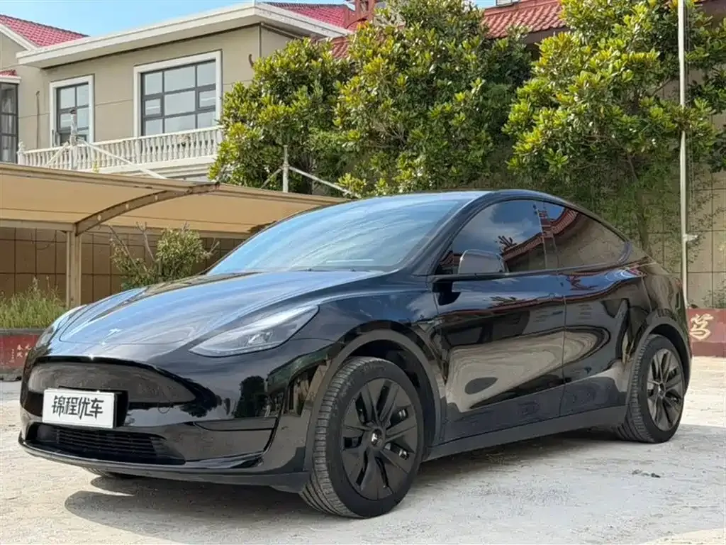 Tesla Model Y — фото 9