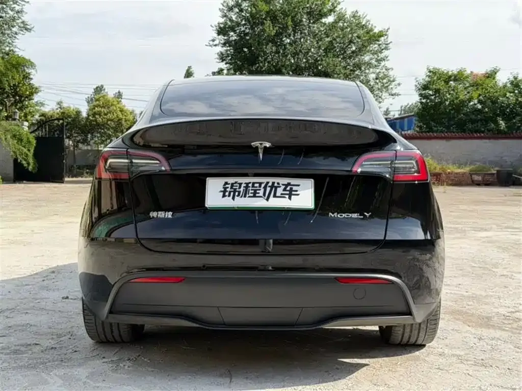 Tesla Model Y — фото 6