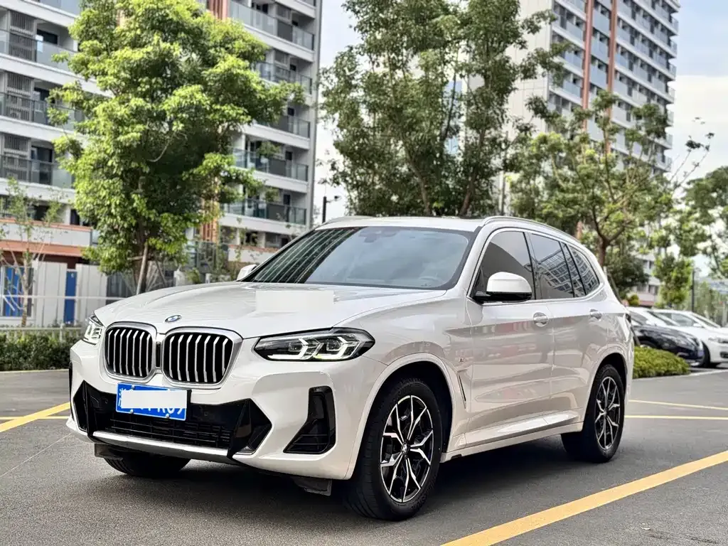 BMW X3 — фото 1