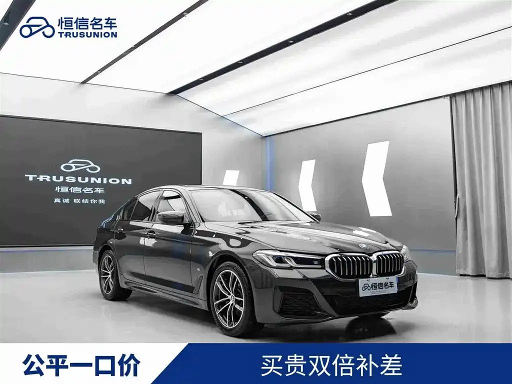 BMW 5 Series (Import)