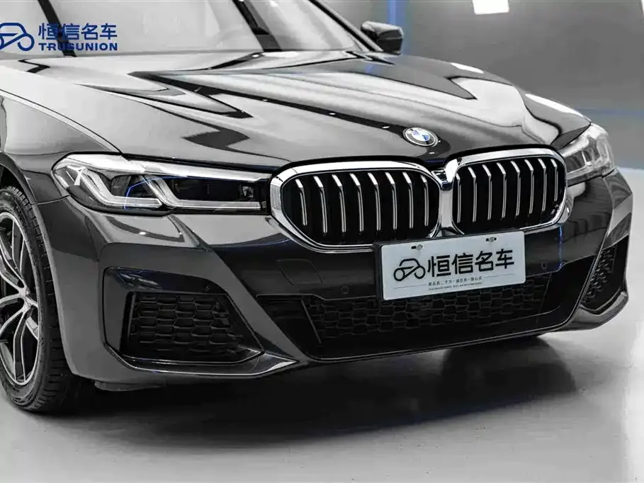 BMW 5 Series (Import) 2023 из CN, фото 10