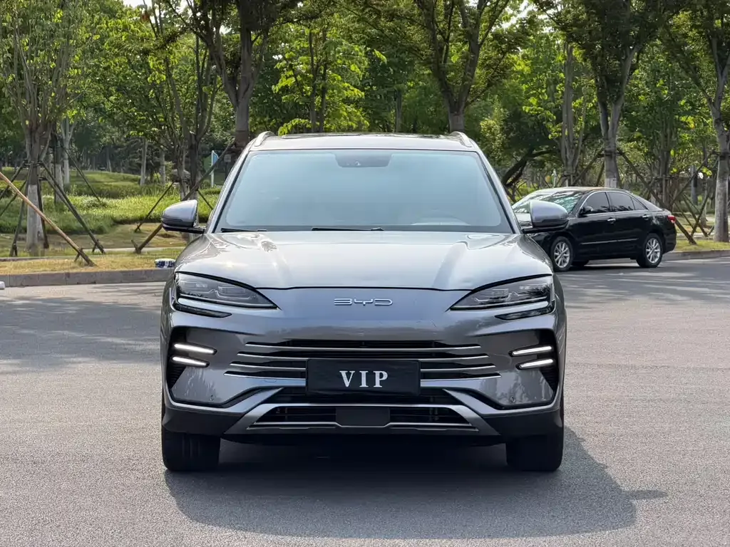 BYD PLUS New Energy — фото 9