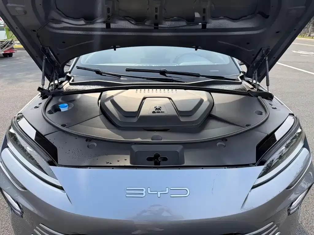 BYD PLUS New Energy — фото 3