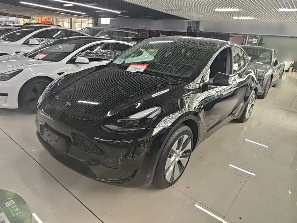 Tesla Model Y — фото 1