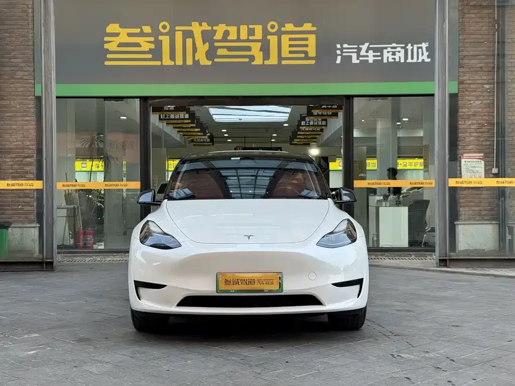 Tesla Model Y — фото 10