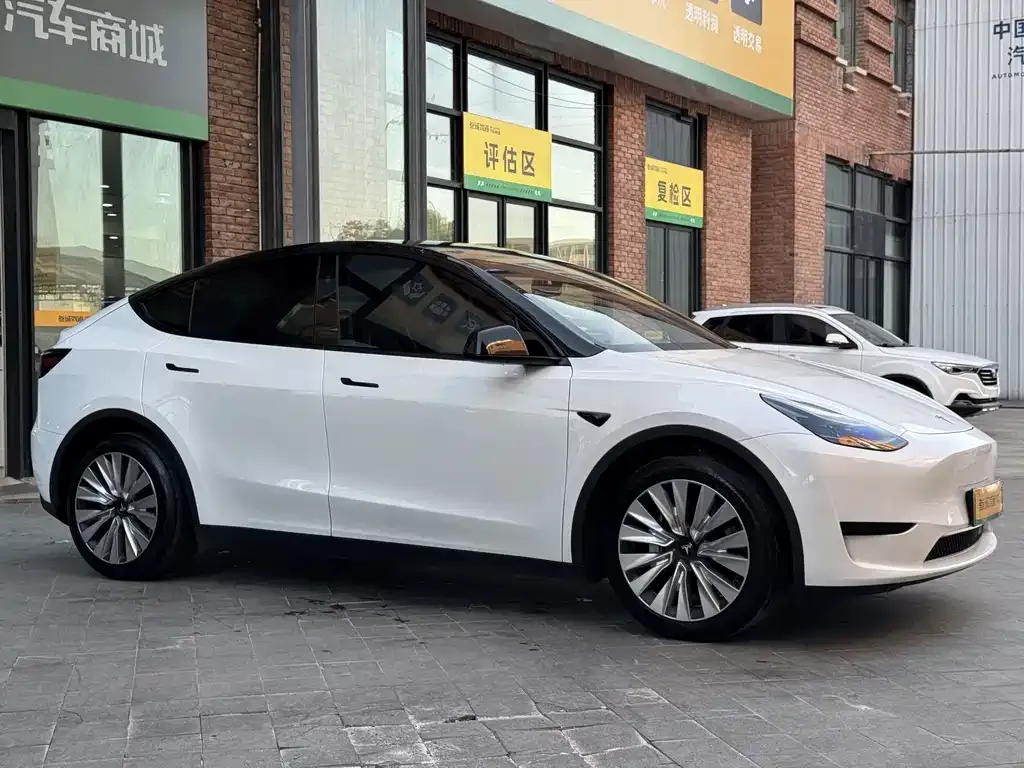 Tesla Model Y — фото 3