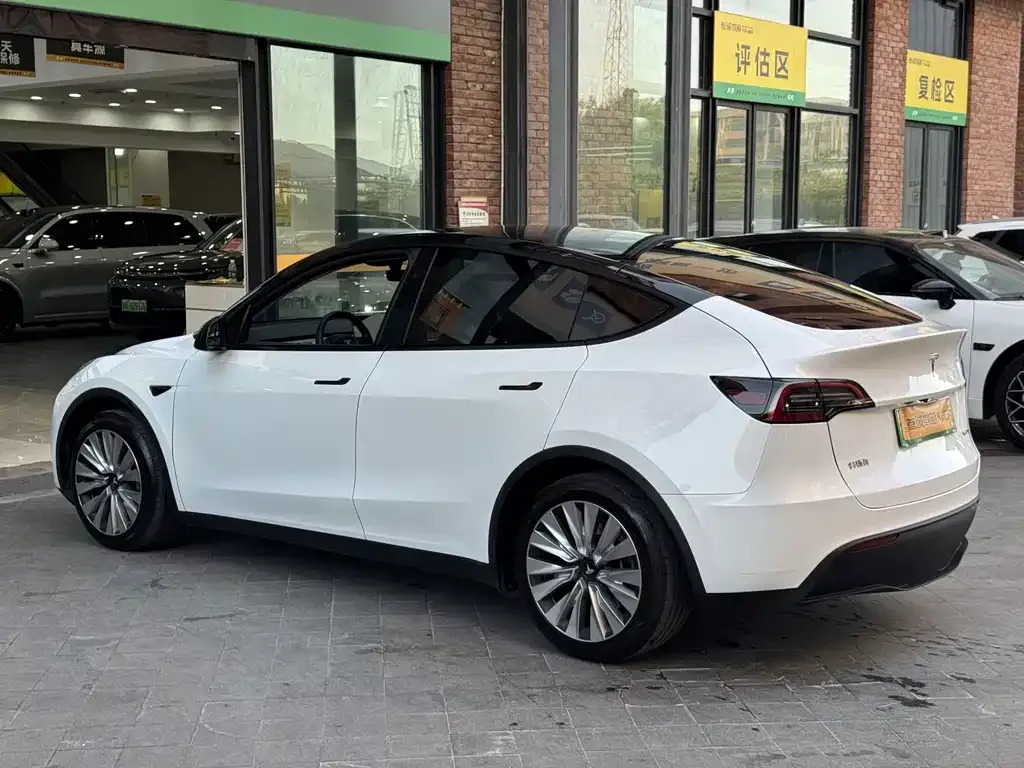 Tesla Model Y — фото 6