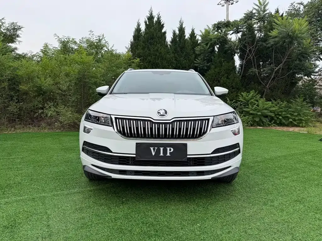 Skoda Karoq — фото 9