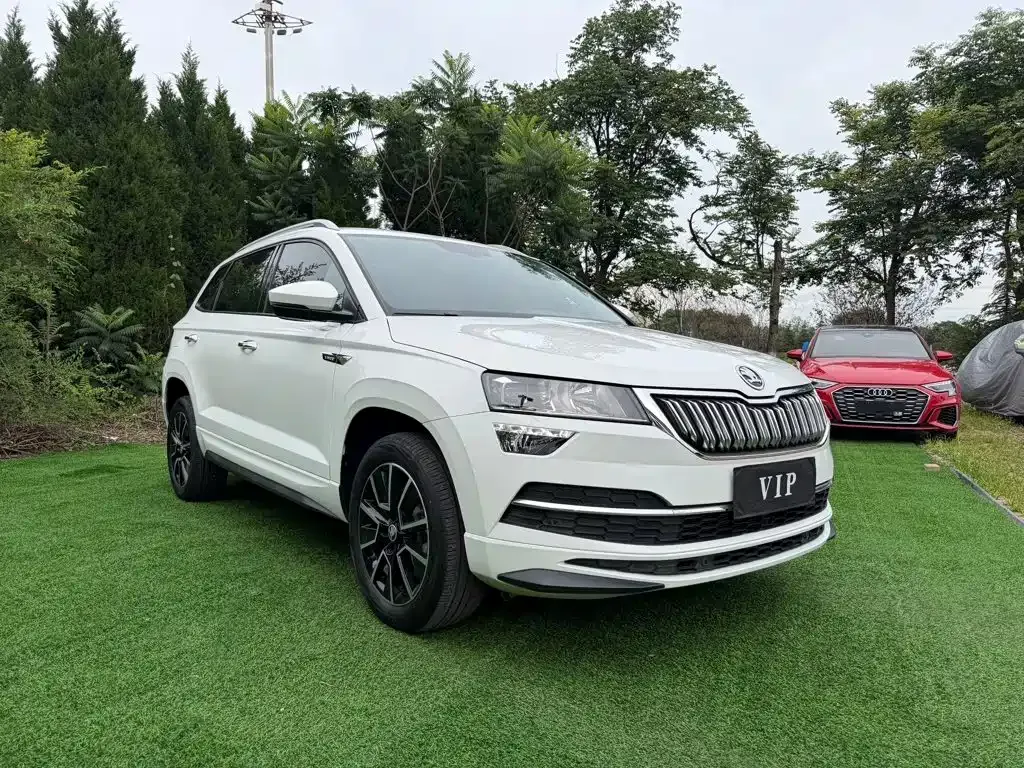 Skoda Karoq — фото 8