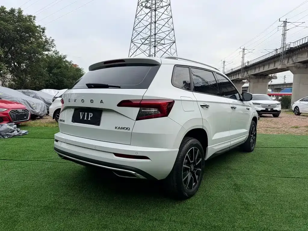 Skoda Karoq — фото 7