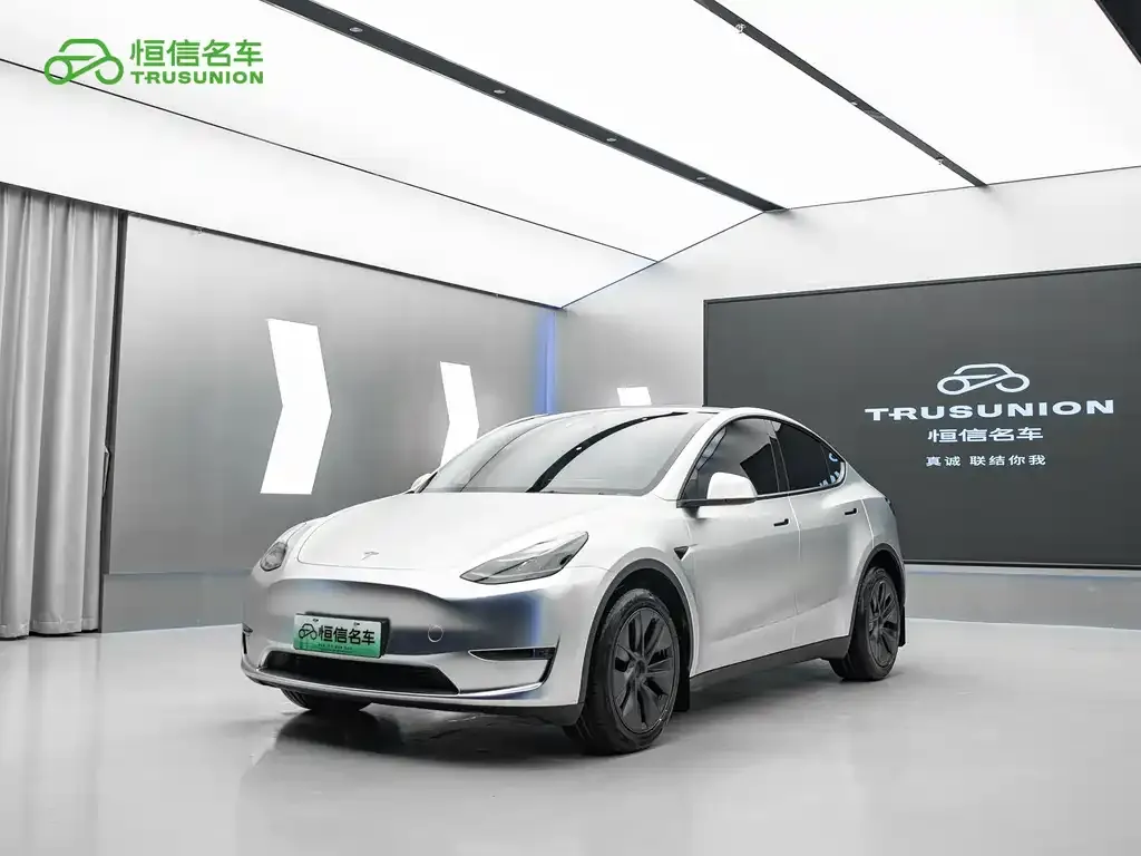 Tesla Model Y — фото 1