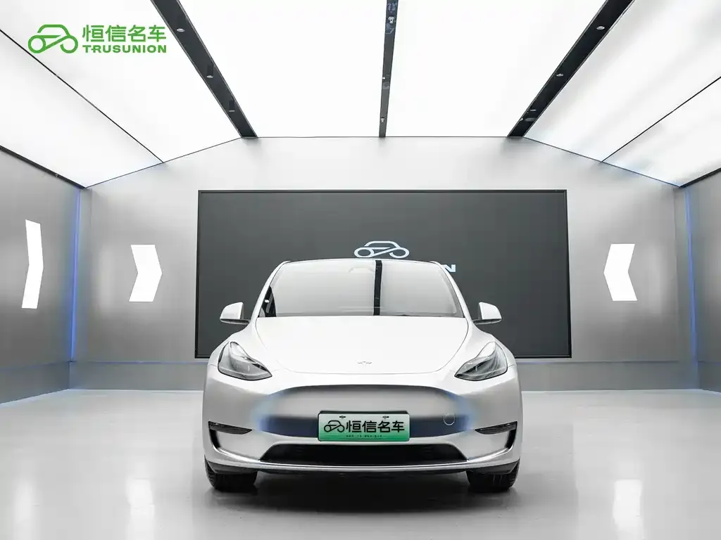 Tesla Model Y — фото 3