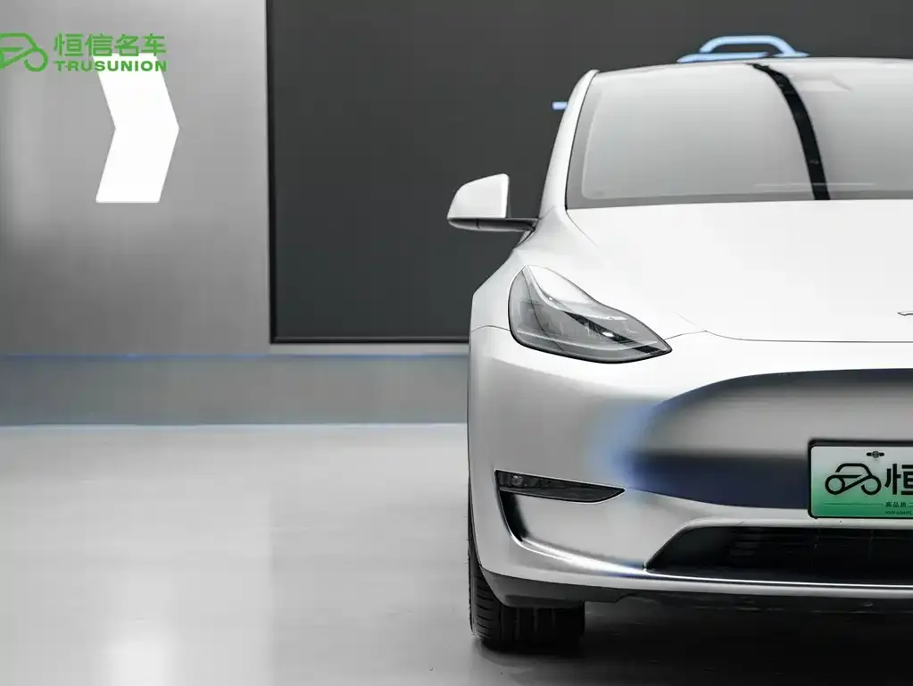 Tesla Model Y — фото 10