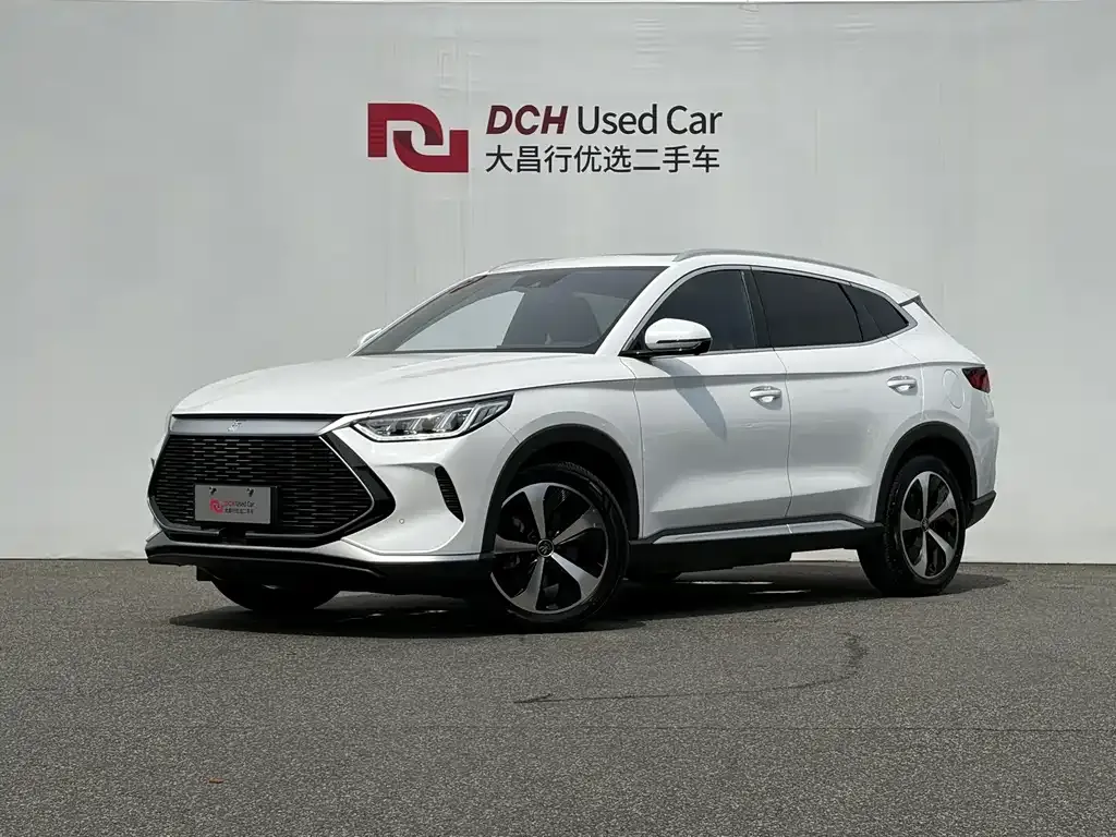 BYD PLUS New Energy — фото 1