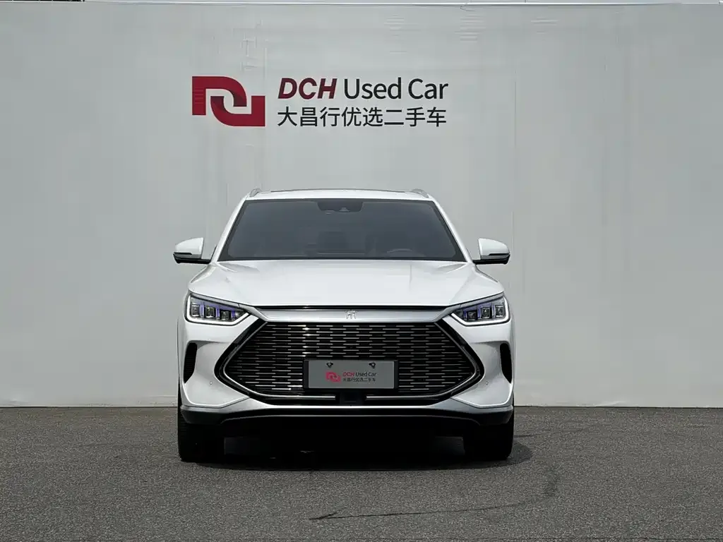 BYD PLUS New Energy — фото 4