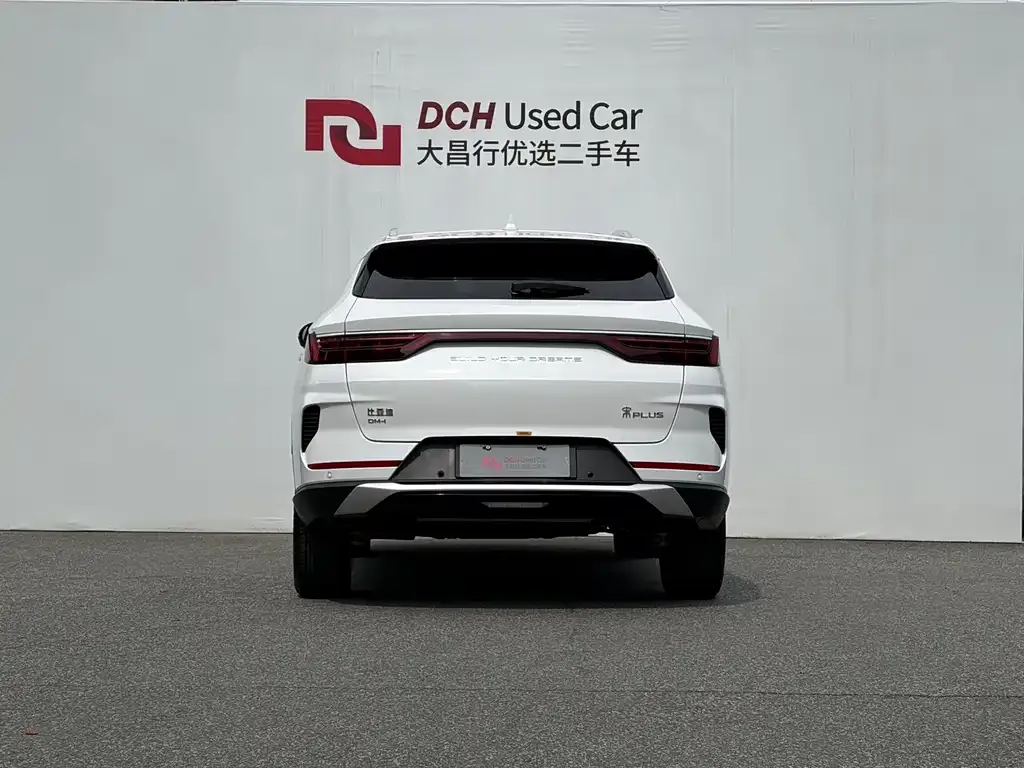 BYD PLUS New Energy — фото 3