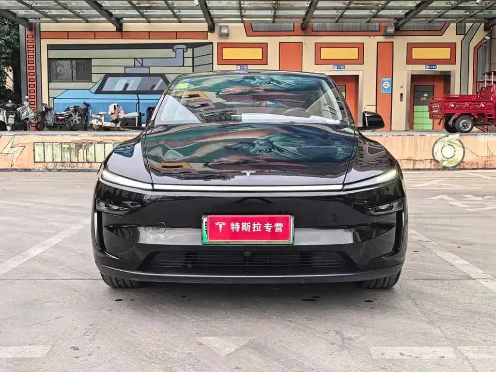 Tesla Model Y — фото 2