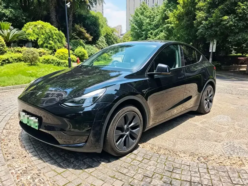 Tesla Model Y — фото 1