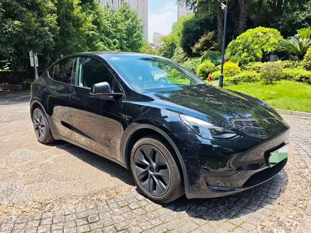 Tesla Model Y — фото 9