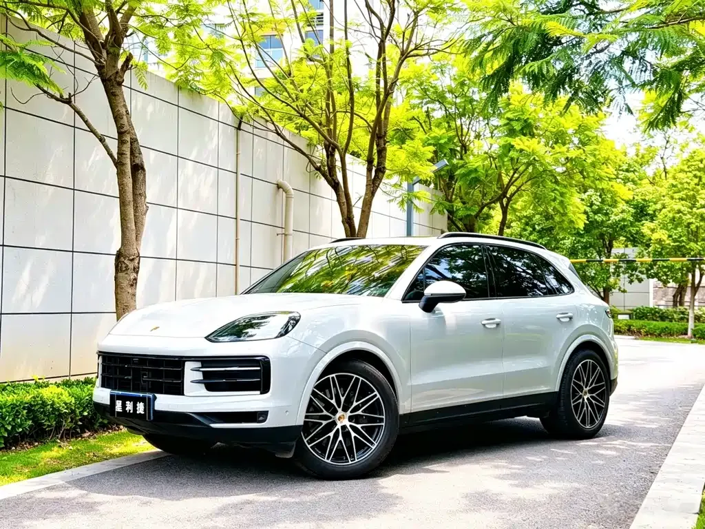 Porsche Cayenne — фото 1