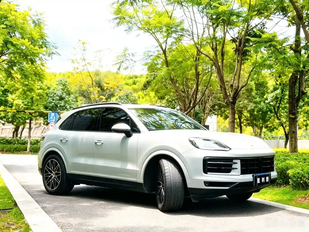 Porsche Cayenne — фото 9