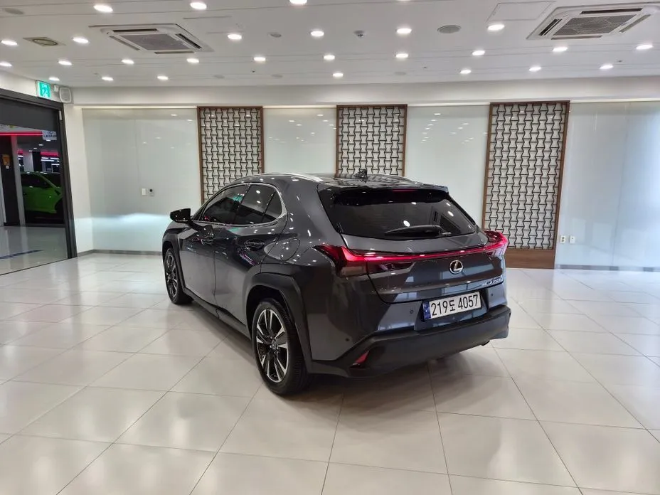 Lexus UX 2024 из KR, фото 4