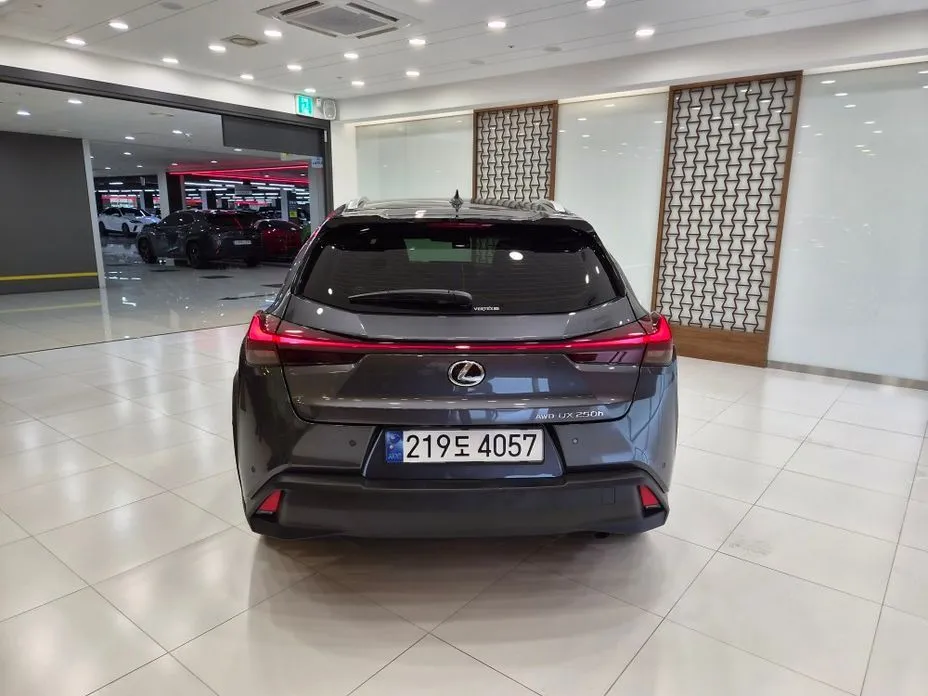 Lexus UX 2024 из KR, фото 5
