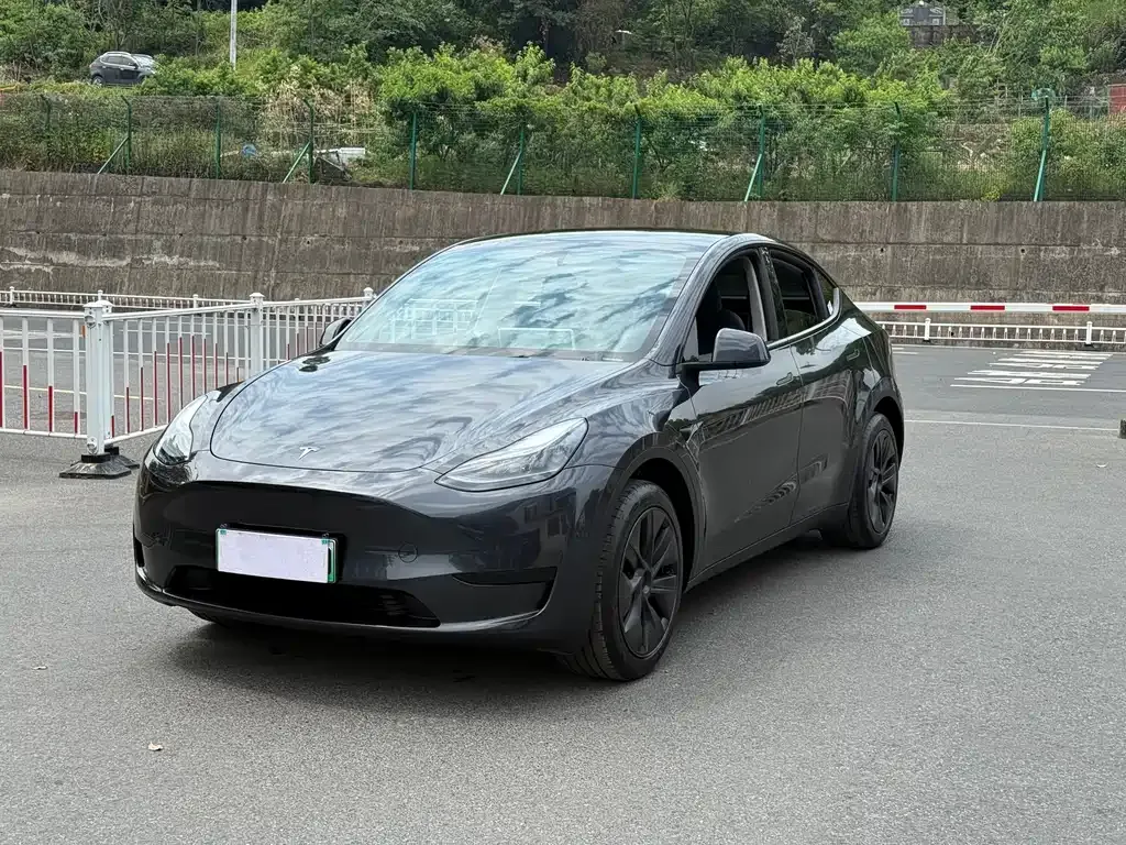 Tesla Model Y — фото 1