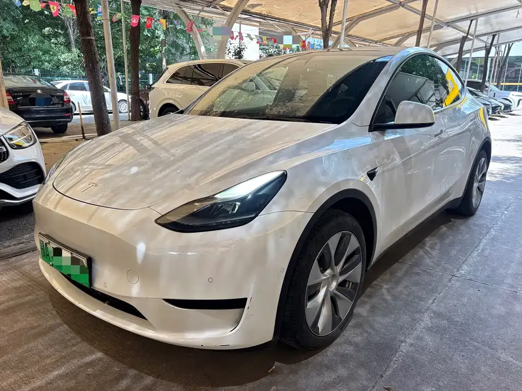 Tesla Model Y — фото 1