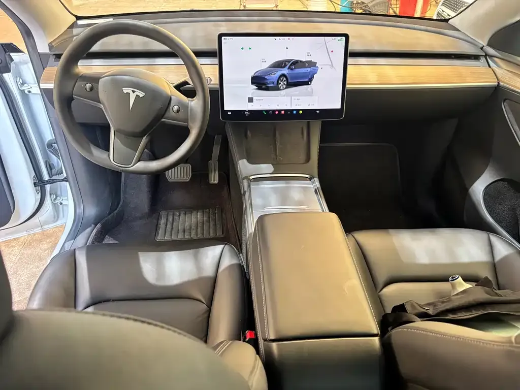 Tesla Model Y — фото 8