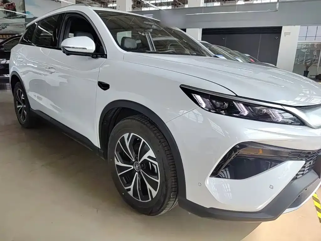 BYD Pro New Energy — фото 4