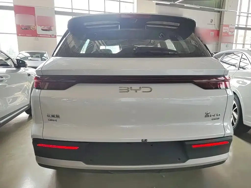 BYD Pro New Energy — фото 3