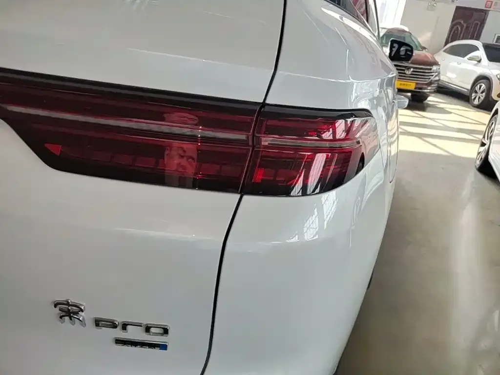 BYD Pro New Energy — фото 2
