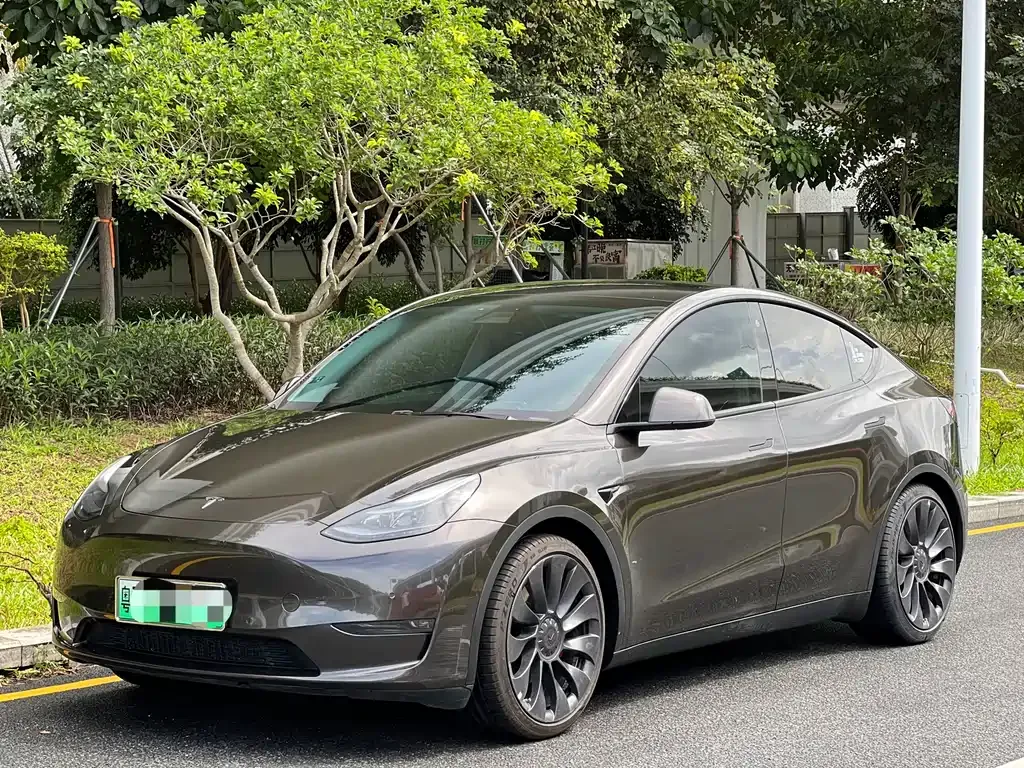 Tesla Model Y — фото 1
