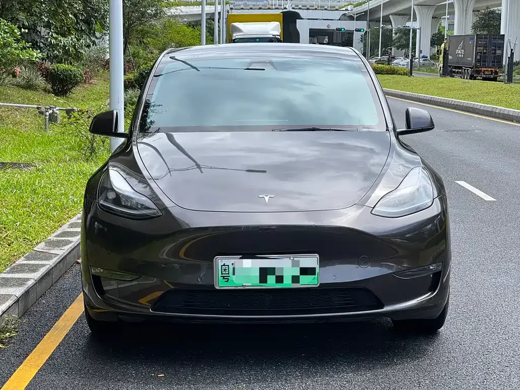 Tesla Model Y — фото 9