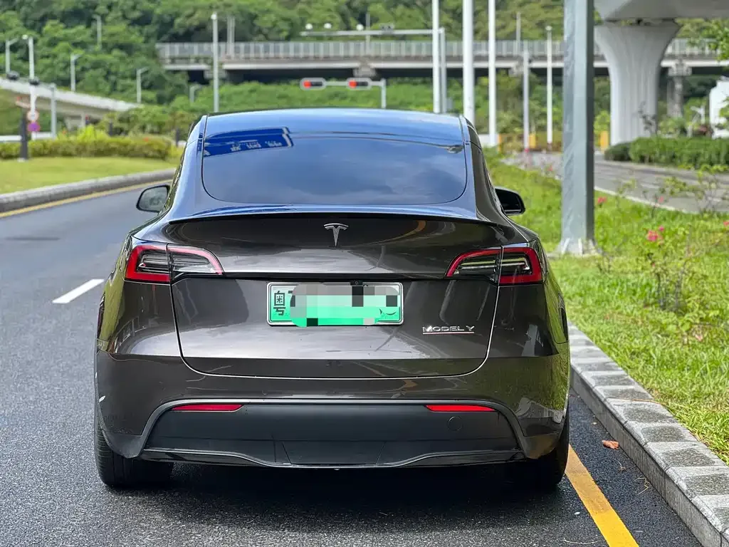 Tesla Model Y — фото 3
