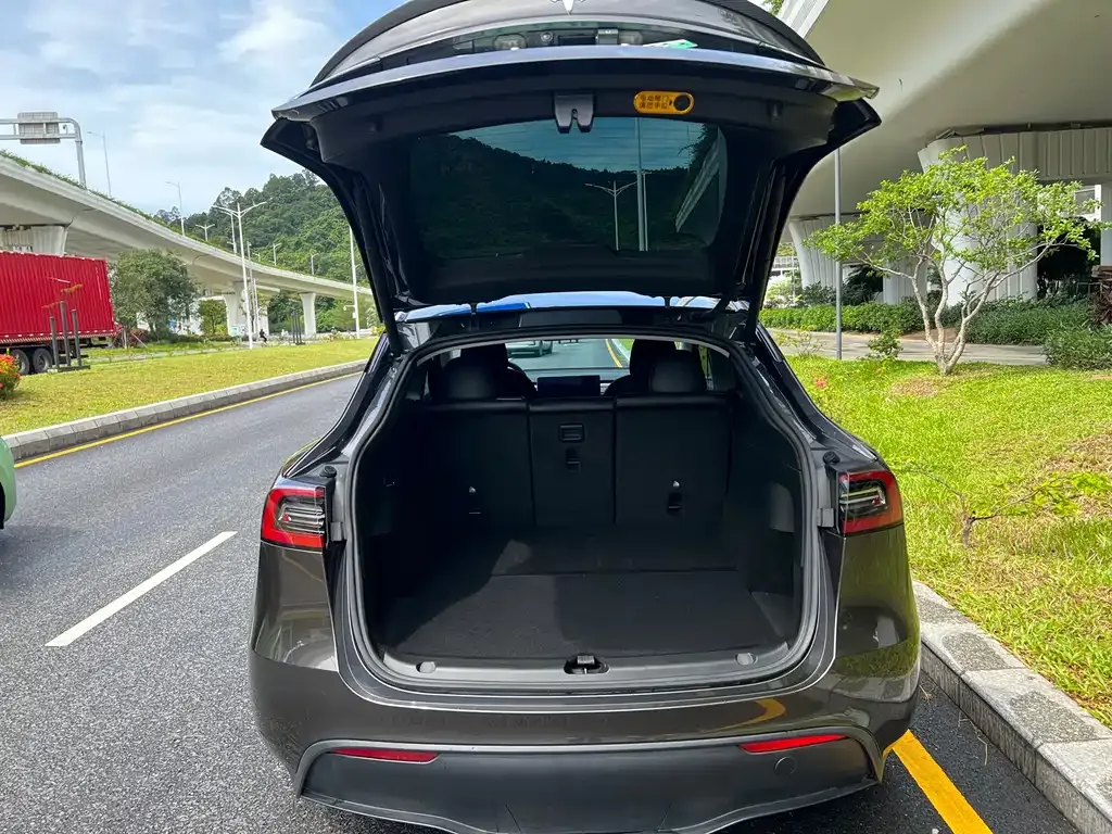 Tesla Model Y — фото 4