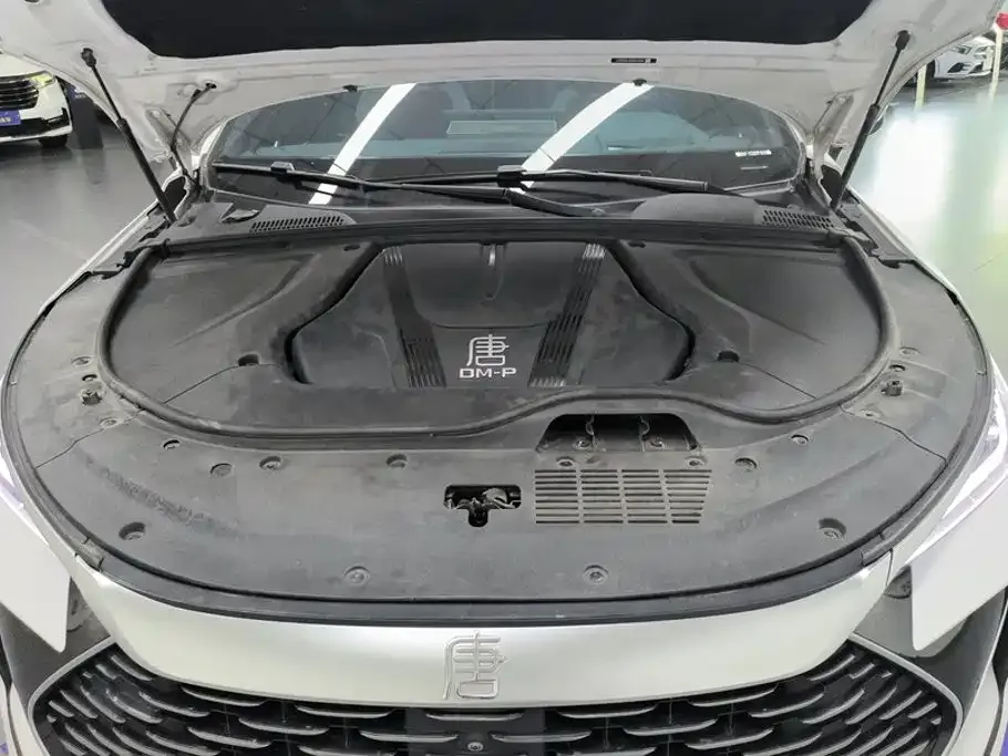 BYD Tang New Energy — фото 10