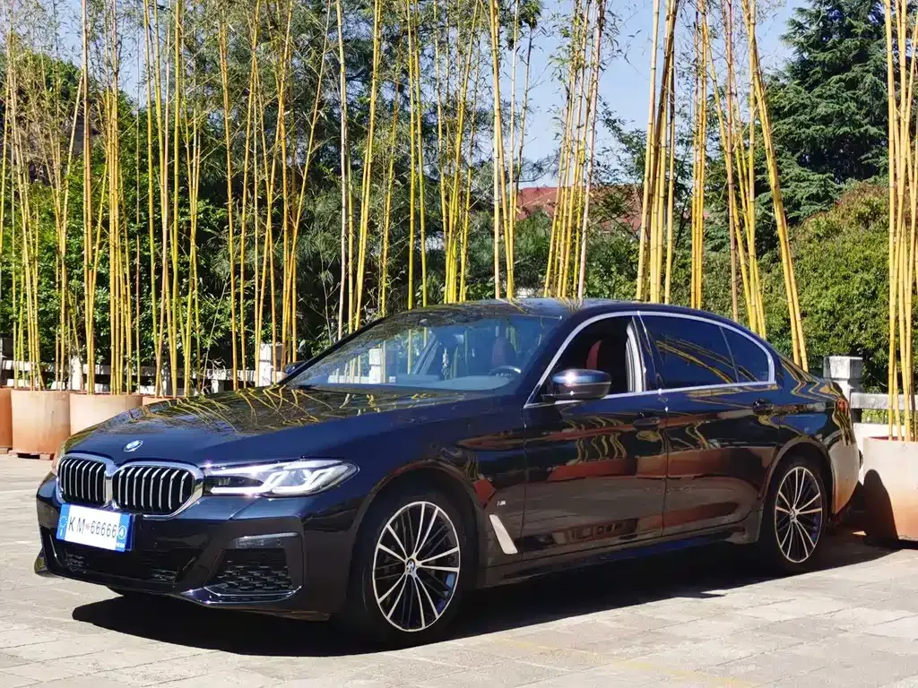 BMW 5 Series — фото 1