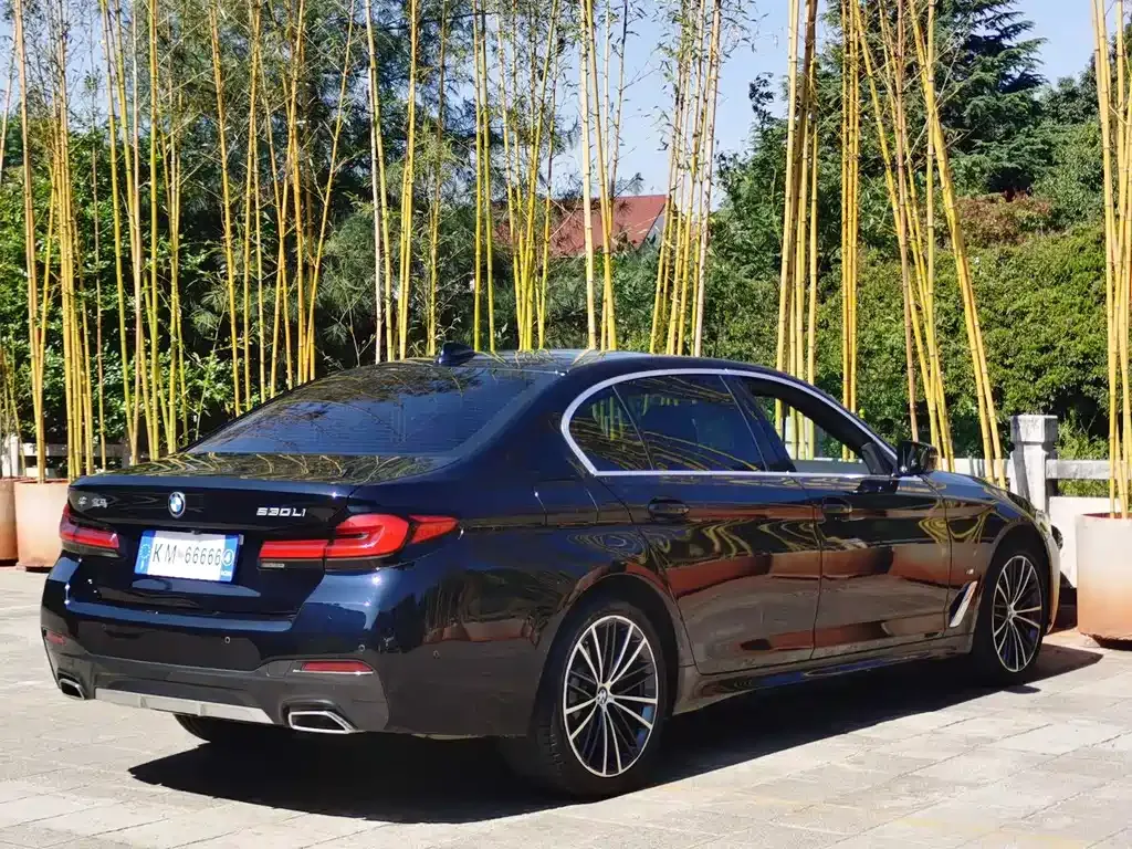 BMW 5 Series — фото 4