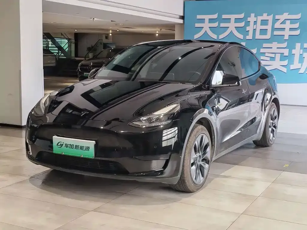 Tesla Model Y — фото 1