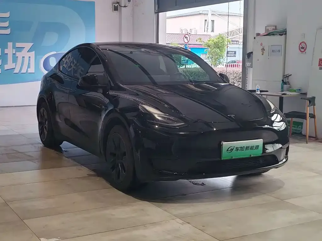 Tesla Model Y — фото 4