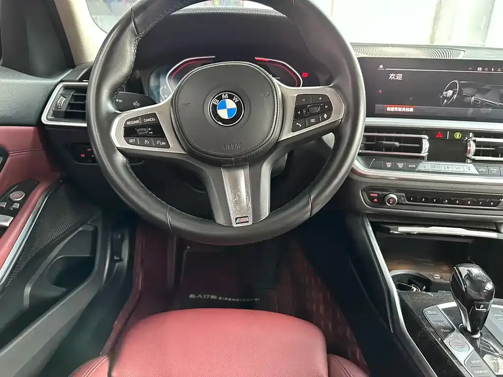 BMW 3 Series 2021 из CN, фото 4