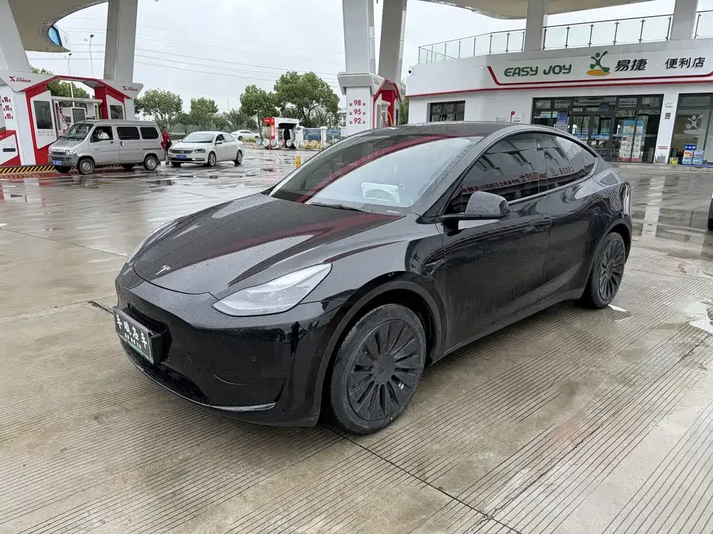 Tesla Model Y — фото 1