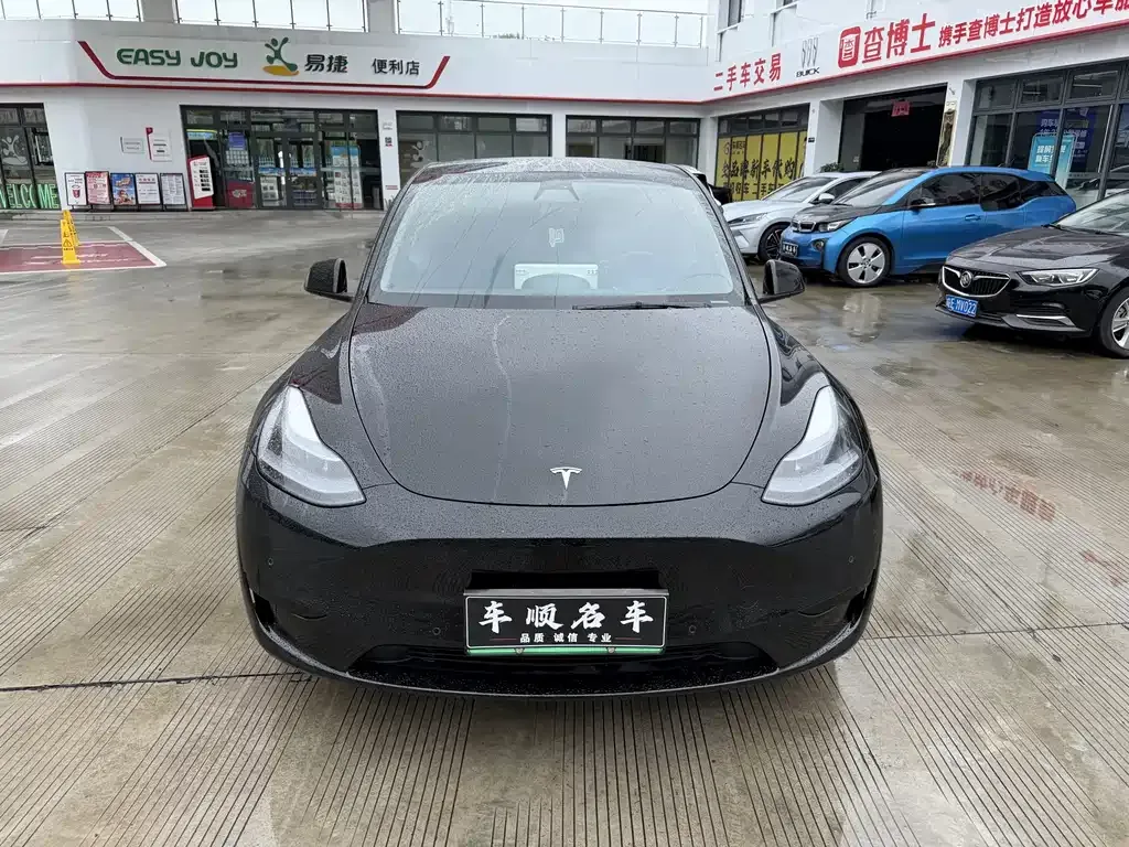 Tesla Model Y — фото 4