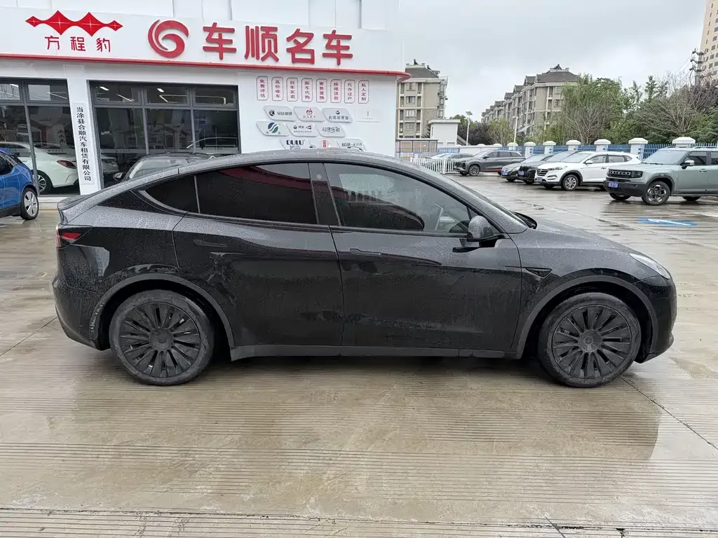 Tesla Model Y — фото 3