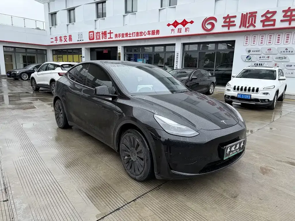 Tesla Model Y — фото 10