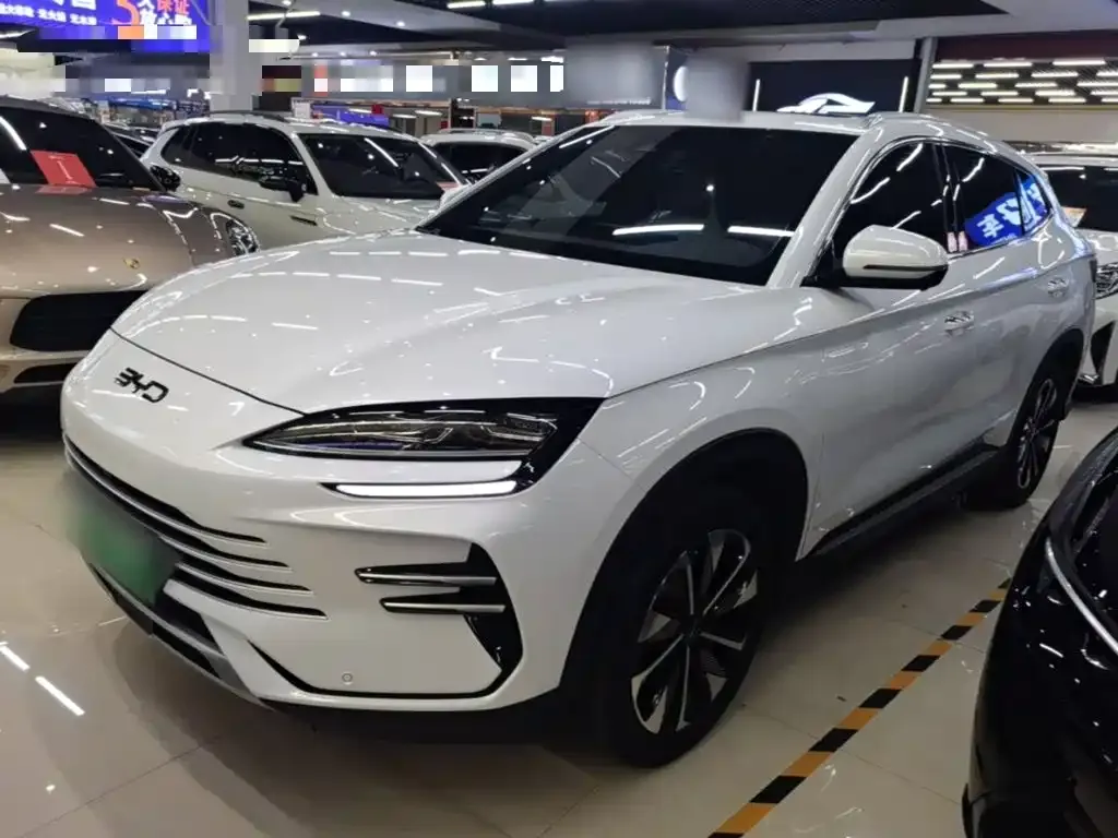 BYD PLUS New Energy — фото 3