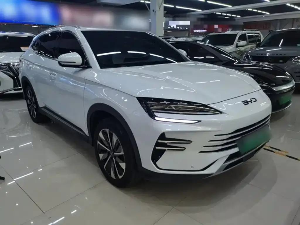 BYD PLUS New Energy — фото 4