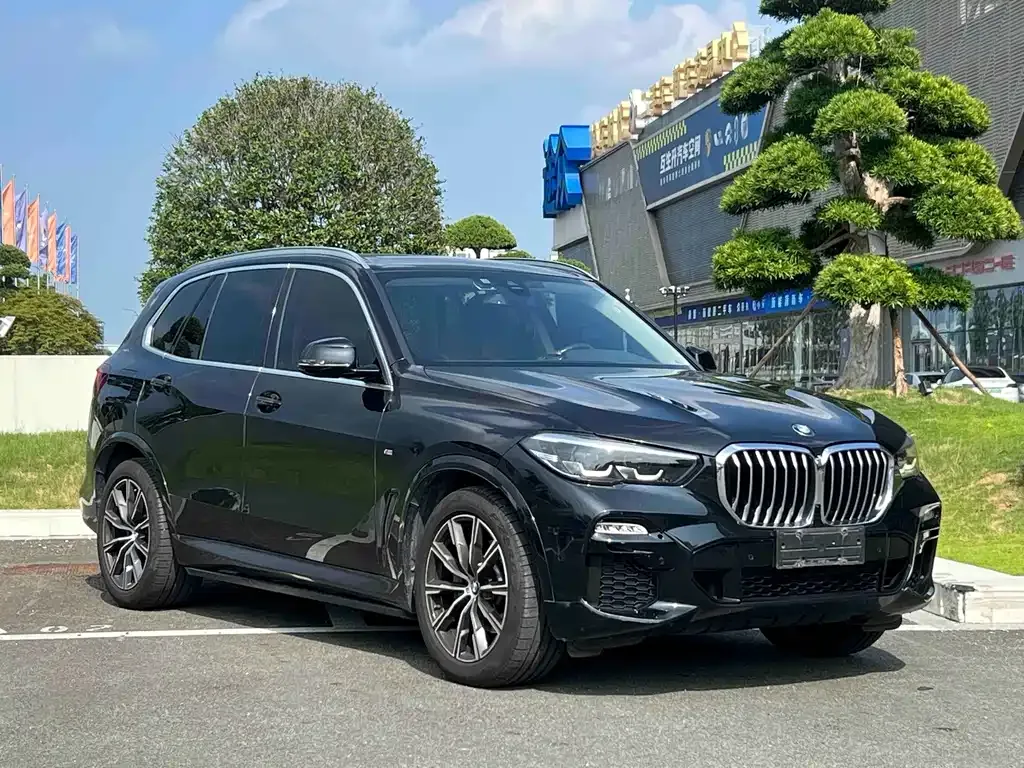 BMW X5 (Import) — фото 7